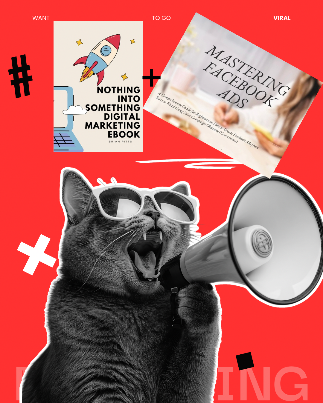 Nothing Into Something Digital Marketing Ebook PLUS (Sales Mastering Facebook Ads Marketing Set Up Ebook)